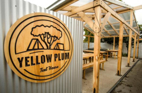 Camping Yellow Plum